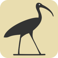 Logo de Djehooty Logo de l’application Djehooty représentant un ibis noir